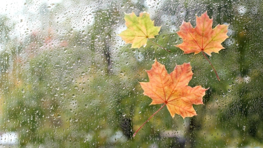 autumn weather outside