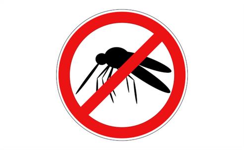 Mosquito control