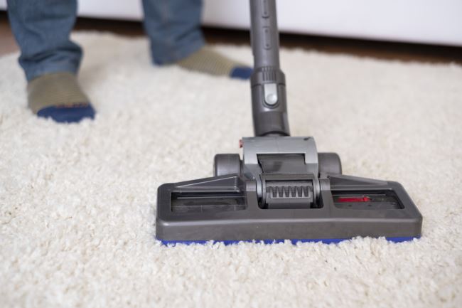 DIY Flea Control Strategies and Why They Don’t Work | Canady’s Termite ...