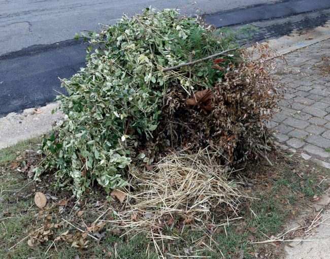 Prevention Tips for Mouse Control [infographic] Canady’s Termite & Pest Control